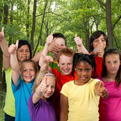 Grupo de crianças felizes reunidas na floresta celebrando a viagem em família na Pequena Rota Elementar.