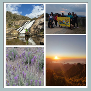 PEDRA DA MACELA MOSAICO
