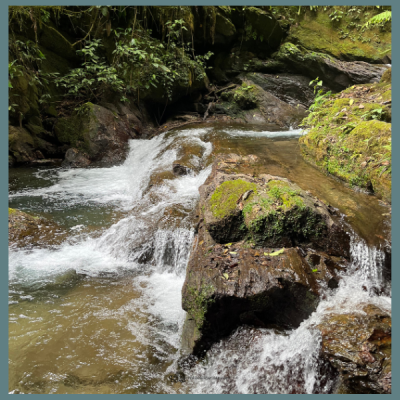 Vale das Ostras com trilha por poços naturais e a Cachoeira Meu Deus, seguida de visita monitorada à Caverna do Diabo, com passarelas iluminadas e formações calcárias preservadas.